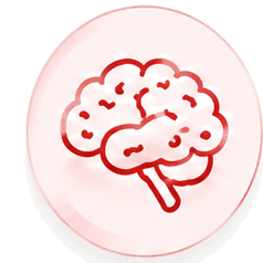 Brain