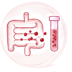 Gut and test tube representing iron absorption