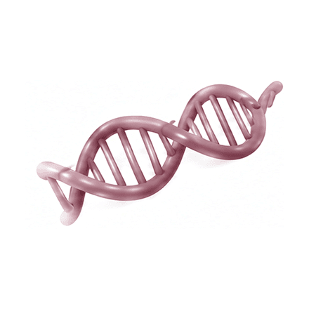 DNA double helix