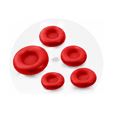 Cluster of red blood cells