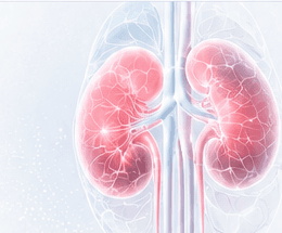 Illustration of kidneys for the dosing and administration guide