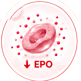 Reduced EPO production