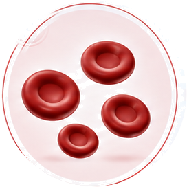 Fewer red blood cells